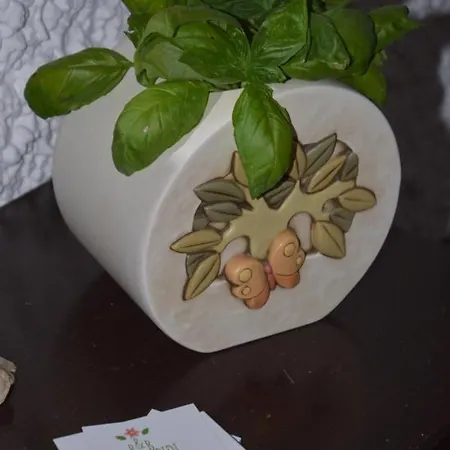Lupidi Corridonia