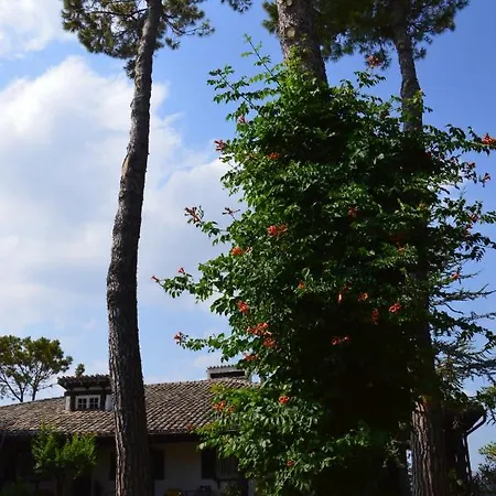 Lupidi Bed and breakfast Corridonia