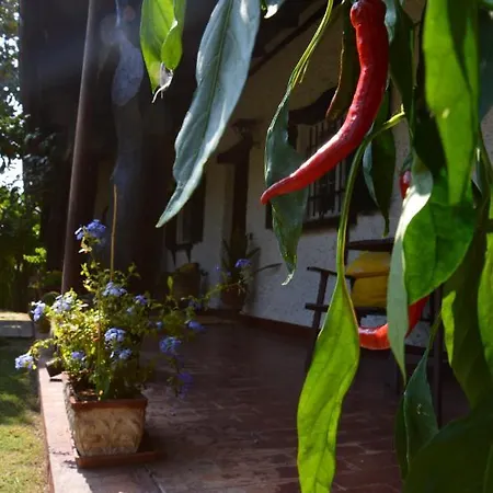 Bed and breakfast Lupidi