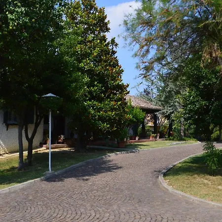 Lupidi