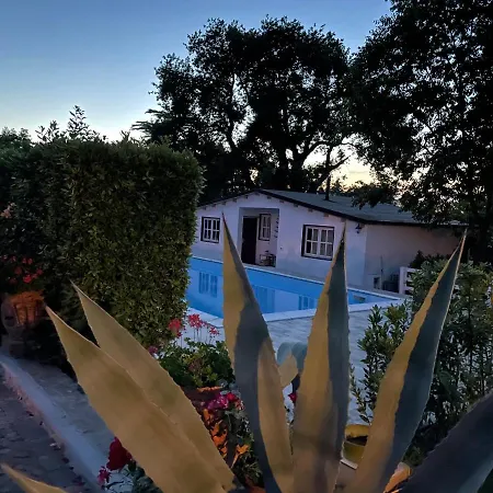 Lupidi Bed and breakfast 3*