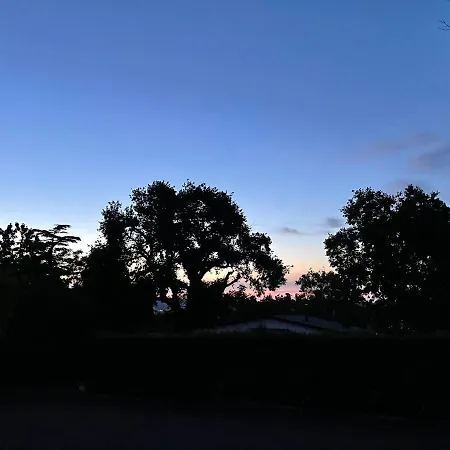 Lupidi Bed and breakfast 3*