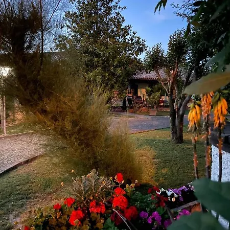 Lupidi 3*