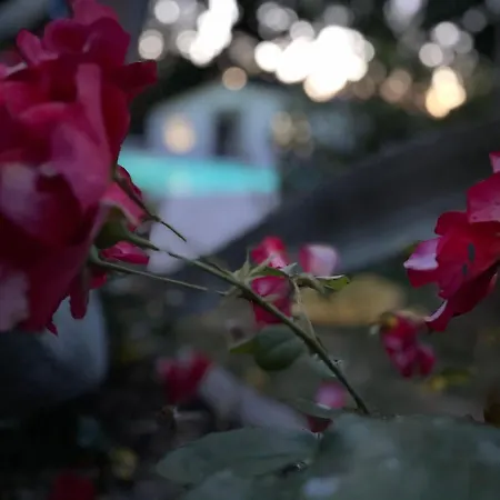 Lupidi Bed and breakfast 3*