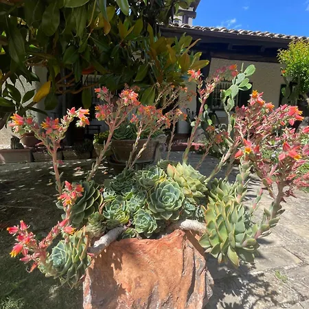 Bed and breakfast Lupidi