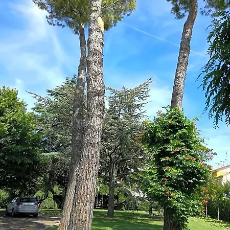 Lupidi