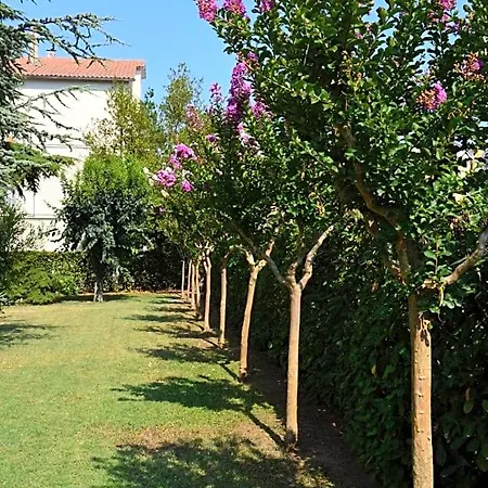 Lupidi Bed and Breakfast