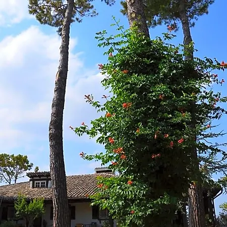 Lupidi Bed and Breakfast Corridonia