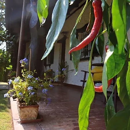 Bed and Breakfast Lupidi 3*