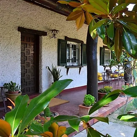Bed and Breakfast Lupidi