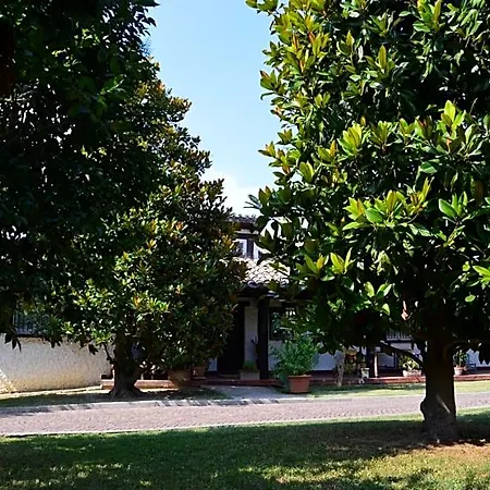 Lupidi Frühstückspension