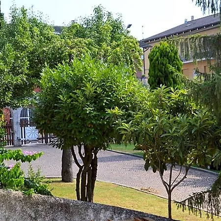 Lupidi 3*