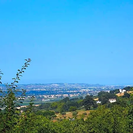 Lupidi