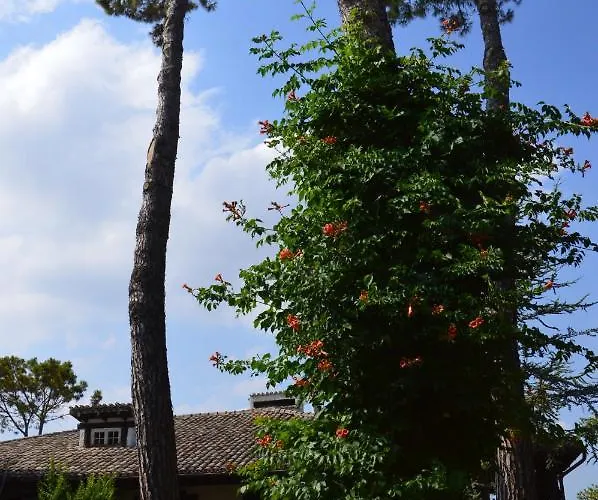 Lupidi Bed & Breakfast Corridonia