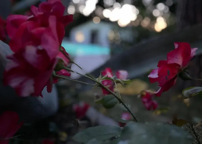 Lupidi Bed & Breakfast 3*